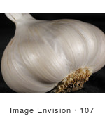 #107 Picture Of A Garlic Bulb