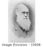 #10938 Picture Of Darwin