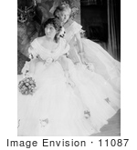 #11087 Picture Of Two Women In Crinoline Ball Gowns