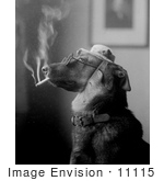 #11115 Picture of a Dog Smoking by JVPD