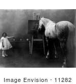 #11282 Picture Of A Girl With A Smart Horse