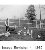 #11365 Picture Of Booker Taliaferro Washington Feeding Chickens