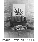 #11447 Picture Of Marijuana Products