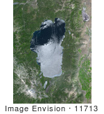 #11713 Picture Of Burn Scars Of The Angora Fire Near Lake Tahoe