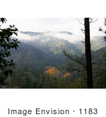#1183 Image Of Autumn Trees On Hills Jacksonville Oregon