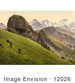 #12026 Picture Of People On A Hillside Near The Swiss Alps Mountains