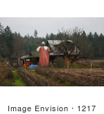 #1217 Photography Of A Huge Scarecrow