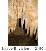 #12190 Picture Of Oregon Caves