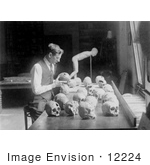 #12224 Picture Of William H Egberts Studying Skulls