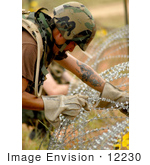 #12230 Picture Of A Soldier Stringing Concertina Wire