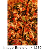 #1230 Closeup Picture Of A Veggie Pizza