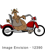 #12390 Cow Riding A Motorcycle Clipart