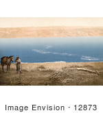 #12873 Picture Of An Arabian Man And Horse Near The Dead Sea