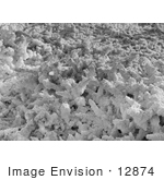 #12874 Picture Of Salt Formations Dead Sea Jordan