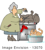 #13070 Senior Caucasian Woman Grooming A Dog And Cat Clipart