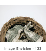 #133 Stock Photograph: Money In A Nest