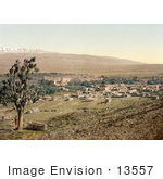 #13557 Picture Of Baalbek Lebanon
