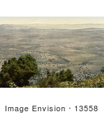 #13558 Picture Of The Plain Of Tabor And Mt Hermon