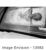 #13582 Picture Of The Mummy Of Ramses Ii Ramesses The Great