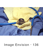 #136 Stock Image Of Gloves Stethoscope And Scrubs