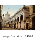 #14320 Picture Of The Great Mosque Arcade Algiers Algeria
