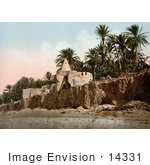 #14331 Picture Of Marabut Biskra Algeria