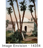 #14354 Picture Of A Chapel Under Palm Trees At A Cemetery Algeria