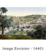 #14401 Picture of Mount Olivet and Garden of Gethsemane by JVPD
