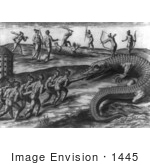 #1445 Native American Indians Killing Alligators