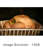 #1539 Turkey In A Roasting Pan