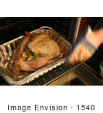 #1540 Person Putting A Turkey In An Oven