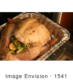 #1541 Turkey In A Roasting Pan