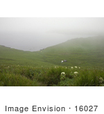 #16027 Picture Of A Foggy View Of A Chowiet Island Camp Alaska