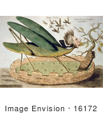 #16172 Picture Of The Political Locust