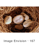 #167 Photograph Of Wishing Stones In A Nest