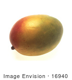 #16940 Picture Of One Whole Mango Fruit