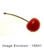 #16941 Picture Of A Wet Red Stemmed Cherry Fruit
