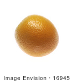 #16945 Picture Of One Whole Orange Fruit Showing The Peel