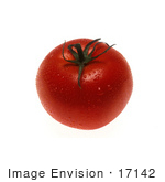 #17142 Picture Of One Whole Red Tomato With A Green Stem Wet With Water Droplets