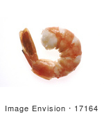 #17164 Picture of One Whole Piece of Steamed Shrimp Seafood by JVPD