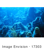 #17303 Picture Of A Reef Scene In The Caribbean Sea
