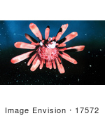 #17572 Picture Of A Slate Pencil Sea Urchin
