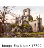 #17790 Photo Of Bare Tree And Ruins Of Kirkstall Abbey In Leeds Yorkshire England