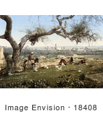 #18408 Photo Of A Man On A Mule Near The City Of Lydda (Lod) Israel