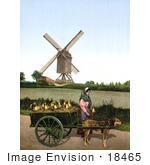 #18465 Photo Of A Female Milk Seller With Dog Drawn Cart Brussels Belgium