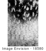 #18580 Photo Of Bicycles Carriages And Dolls Under A Christmas Tree