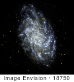 #18750 Photo Of The Triangulum Galaxy (Pinwheel Galaxy Messier 33 Ngc 598)