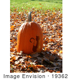 #19362 Photo Of A Halloween Jack O Lantern Pumpkin With A Cat Carving Resting On Autumn Leaves