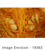 #19363 Photo Of Pumpkin Seeds And Guts Inside A Halloween Pumpkin