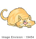 #19454 Orange Cat In A Crouching Position About To Pounce On A Toy Or Prey Clipart